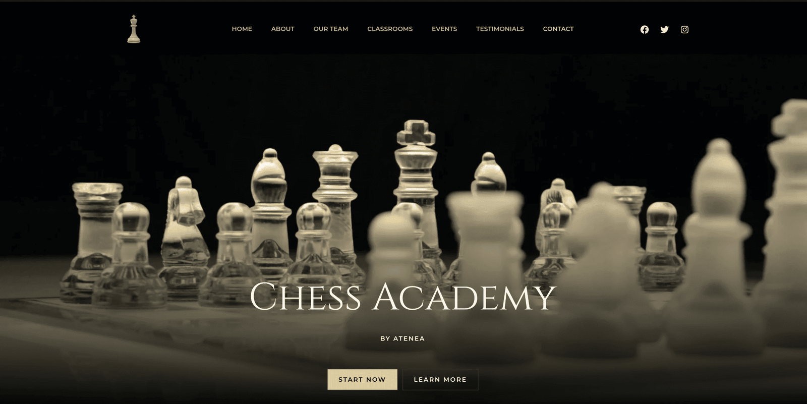 Net Clever Solutions Creative Digital Agency - Portfolio - Chess Academy Website